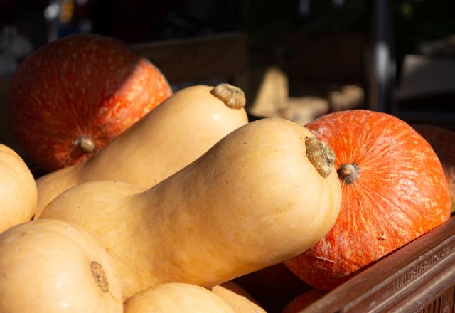 Potimarron ou butternut : quelle courge est la plus intéressante pour la santé ?