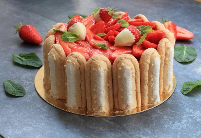 Charlotte aux fraises et mousse de fraises