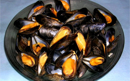 Moules à l'algéroise