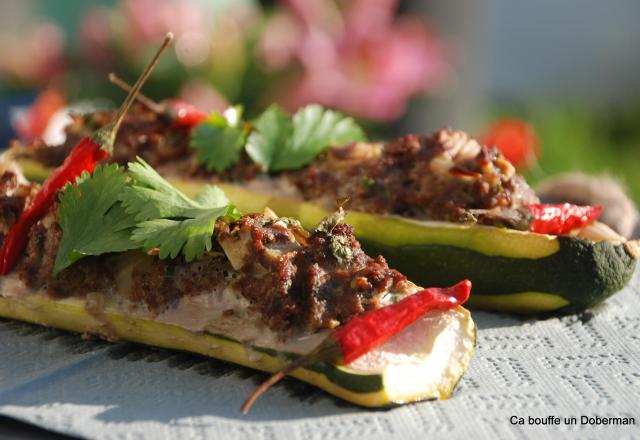 Courgettes colorées farcies au bœuf, cumin et coriandre