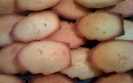 Les madeleines au jasmin