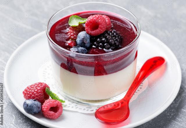 “Un concentré de fraîcheur et de gourmandise” : pour le printemps, Christophe Michalak partage sa recette de panna cotta aux fruits rouges