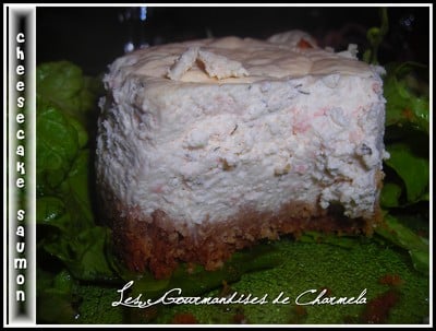 Cheesecake au saumon et aneth