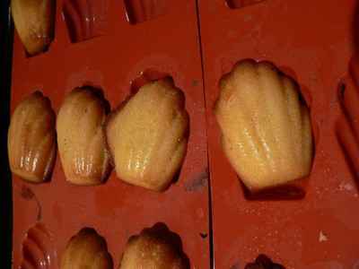 Madeleines au miel simples et bonnes