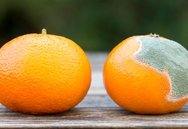 Peut-on manger des fruits ou des légumes qui ont un peu moisi ?