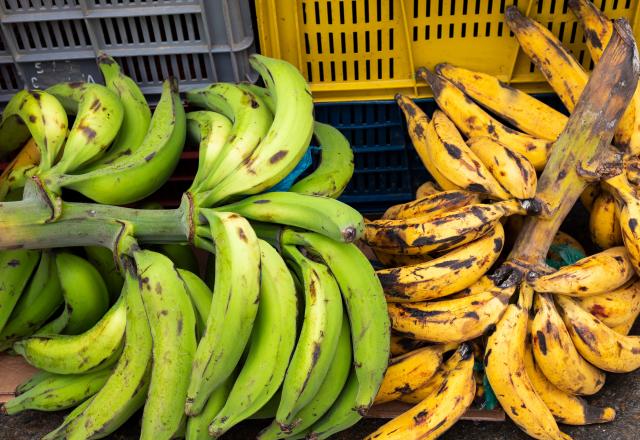 Brûlures, crampes, etc. : quels sont les symptômes liés à ce produit chimique retrouvé sur des bananes de Martinique ?