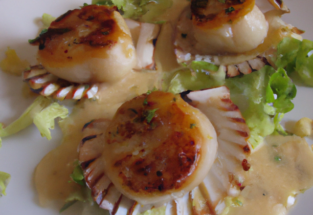 Coquilles Saint Jacques à l'unilatérale et crème d'endives caramélisée