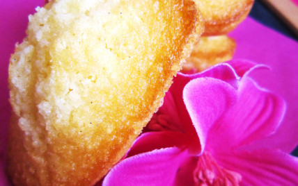 Madeleines au fraises séchées