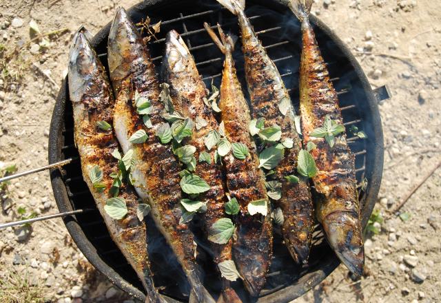 5 poissons encore meilleurs au BBQ