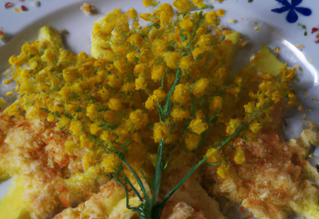 Courgette mimosa