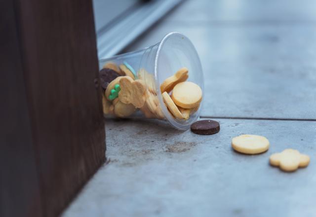 Aliment tombé par terre : oubliez la règle des 3 secondes, une experte rétablit la vérité !