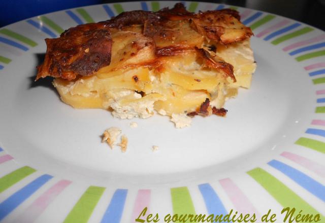 Gratin de pommes de terre au roquefort économique