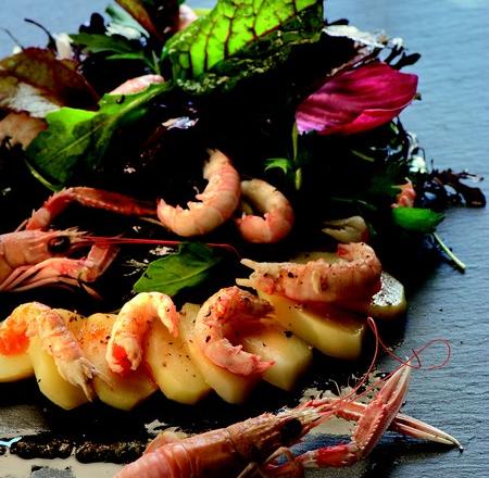 Salade de Princesse Amandine aux langoustines et mesclun de jeunes pousses