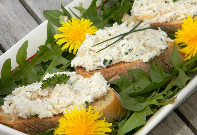 Rillettes de poulet aux fines herbes