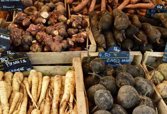 Pourquoi mettre les légumes anciens au menu du jour ?