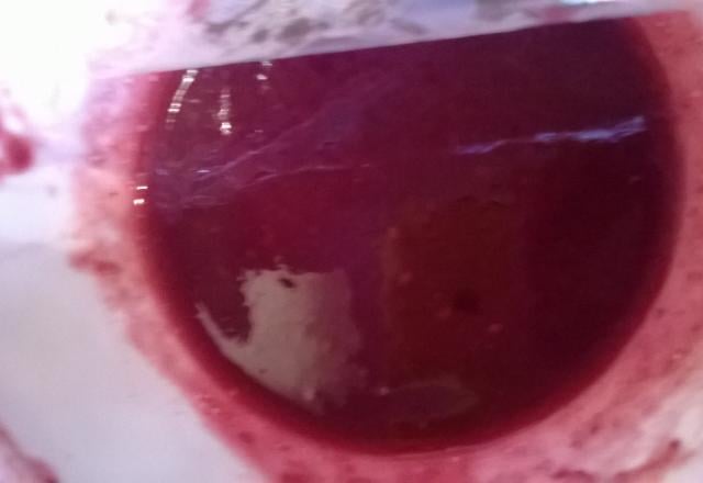 Coulis aux fruits rouges