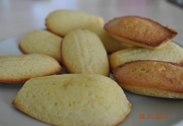 Madeleines légères au miel