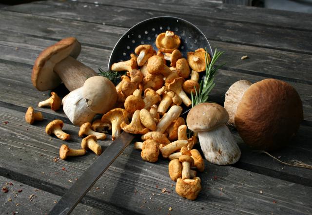 Comment congeler des champignons frais ? Les erreurs à éviter