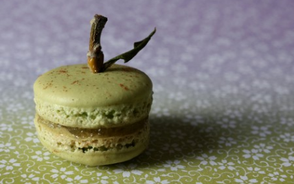 Dans le 'secret' des macarons