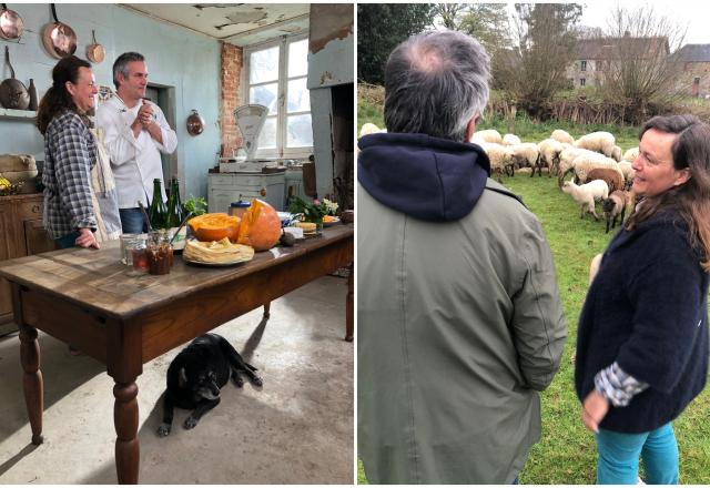 Les “Coups de pousse” de 750g pour la ferme pédagogique et la filature de laine du Petit Auney (Bocage du Mont Saint Michel)