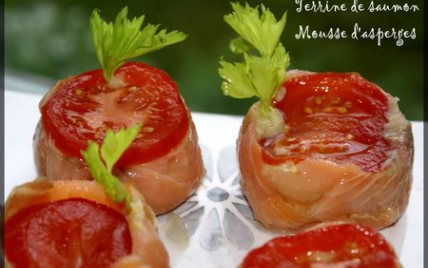 Terrine de saumon crabe et mousse d'asperges