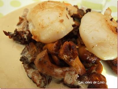 Saint-Jacques sur lit de girolles et sa petite sauce au foie gras