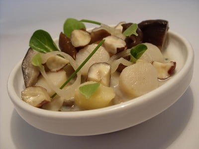 Blanquette de noix de pétoncles, champignons et noisettes