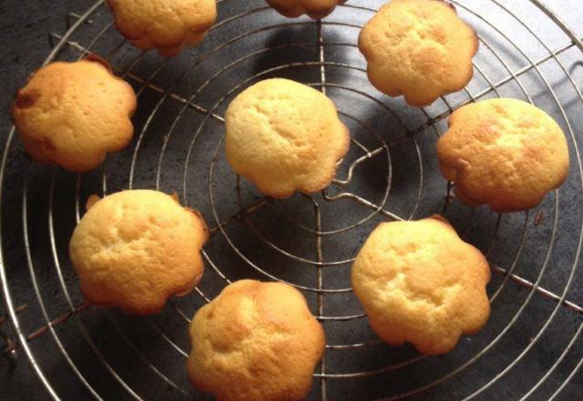 Minis muffins au citron