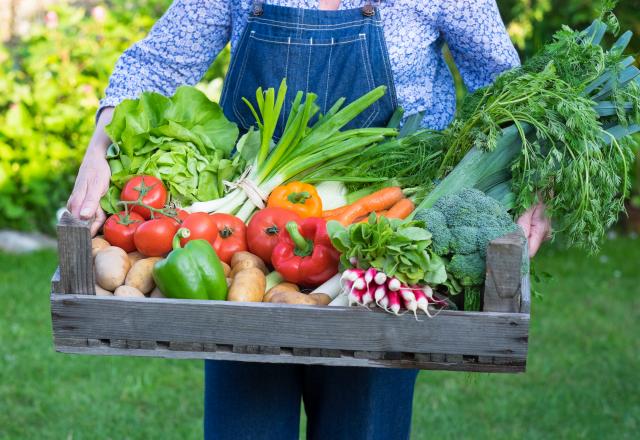 Cet aliment qu'on délaisse de plus en plus est pourtant riche en prébiotiques, indispensables pour un bon microbiote !