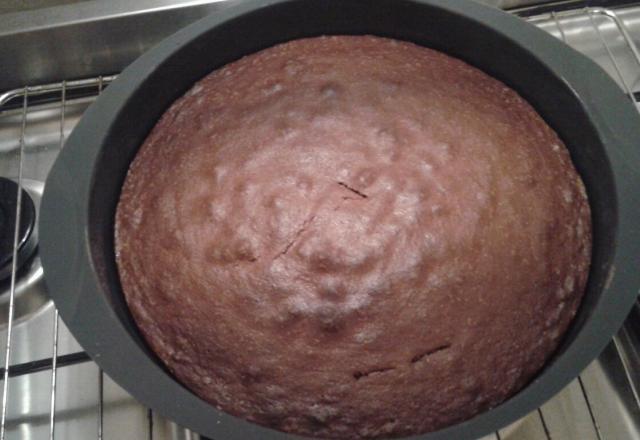 Gâteau au yaourt et au cacao en poudre