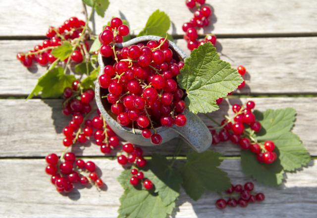 Les fruits et les légumes qui sont de saison en juin