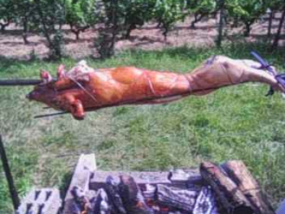 Cochon de lait à la broche