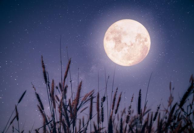 Comment fonctionne le régime spécial pleine lune ?