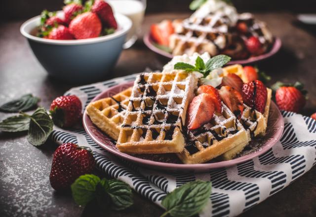 Craquez sur cet appareil à gaufre et croque-monsieur Lagrange qui est enfin en promo ! profitez en vite !