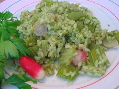 Risotto aux céleri branche et radis, en bouillon de fanes