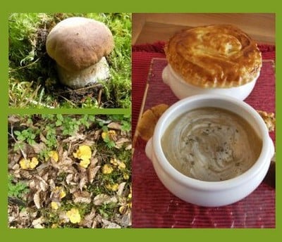 Soupe de champignons d'automne surprise