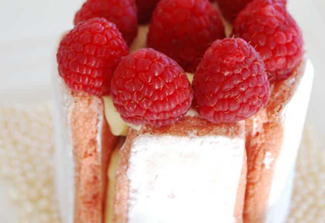 Mini-charlottes framboises façon tiramisu aux biscuits roses de Reims