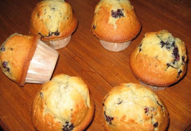 Muffins à la myrtille