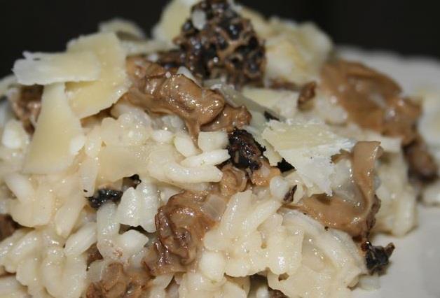 Risotto aux morilles et parmesan