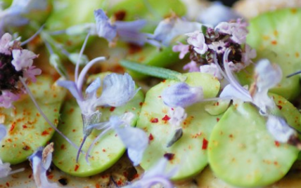 Tartine de fèves aux parfums de fleurs de thym et romarin