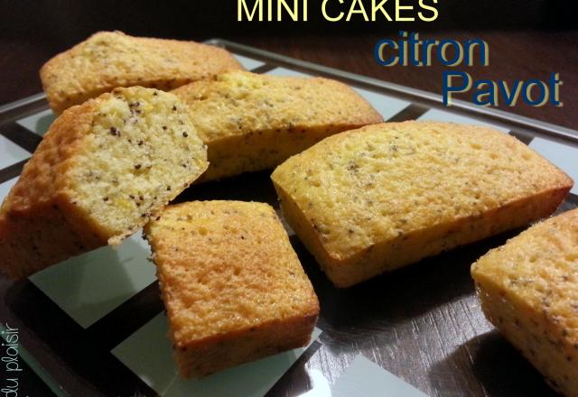 Mini Cake citron Pavot