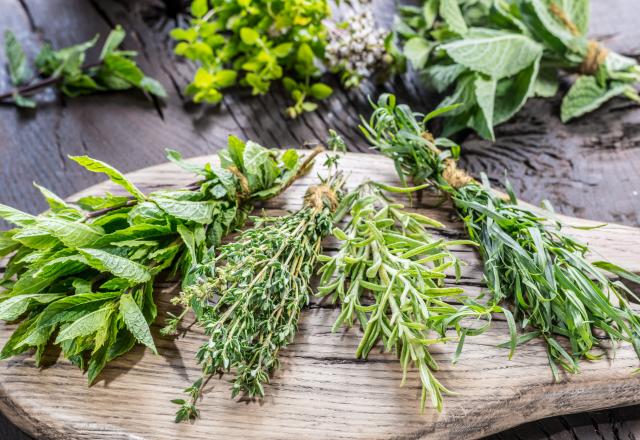 Cette astuce toute simple va vous permettre de conserver vos herbes aromatiques pendant au moins 10 jours !