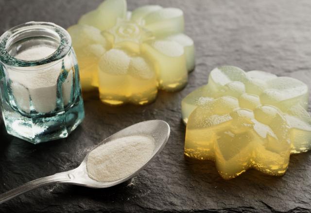 Gélatine versus agar agar, on vous explique tout