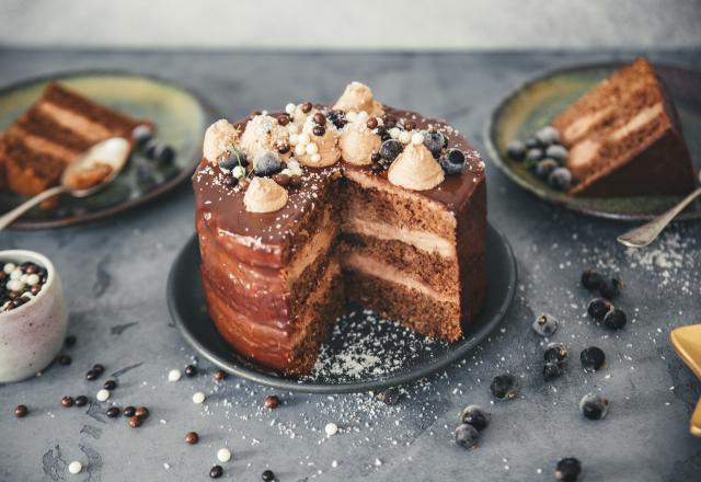 Layer cake au chocolat et noix de coco