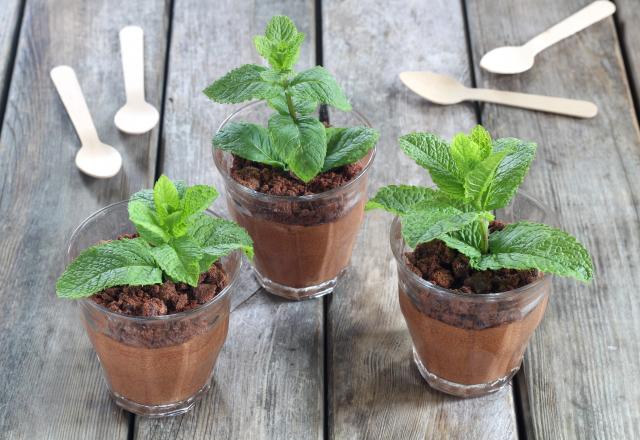 Cette mousse au chocolat façon pot de fleur sera la recette idéale pour régaler et éblouir sa maman pour la fête des mères