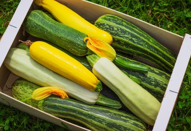 Faut-il garder ou retirer la peau de la courgette ?