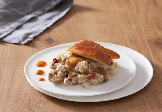 Risotto aux Champignons de Paris - aubergines grillées et poivrons rouges, filet de rouget et coulis de poivron