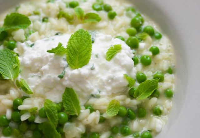 Risotto aux petits pois, menthe, cheddar et cottagecheese