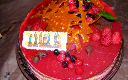 Gâteau à la mousse de fruits rouges