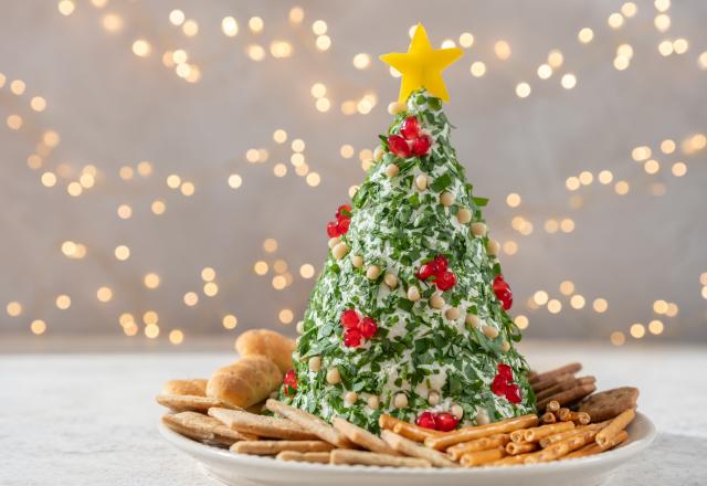 Ce sapin de fromage frais salé, saumon fumé et pistache va faire fureur pour l’apéritif de votre repas de Noël !